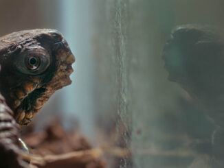 Snowy directed by Kaitlyn Schwalje and Alex Wolf Lewis, an official selection of the Shorts Program at the 2021 Sundance Film Festival.
