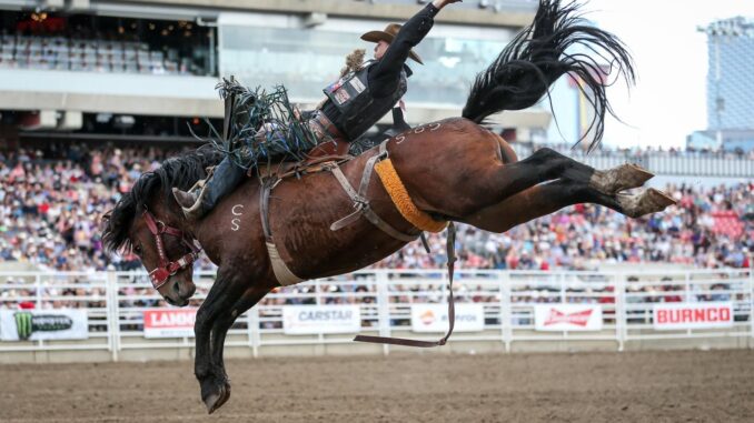Calgary Stampede-Owned-2041-wl-82a5a598-fe80-418c-a277-48079df439e6-medium (1)